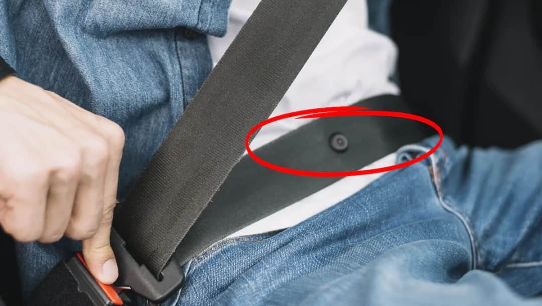 Der Knopf am Sicherheitsgurt: Wichtige Funktion für Ihre Sicherheit